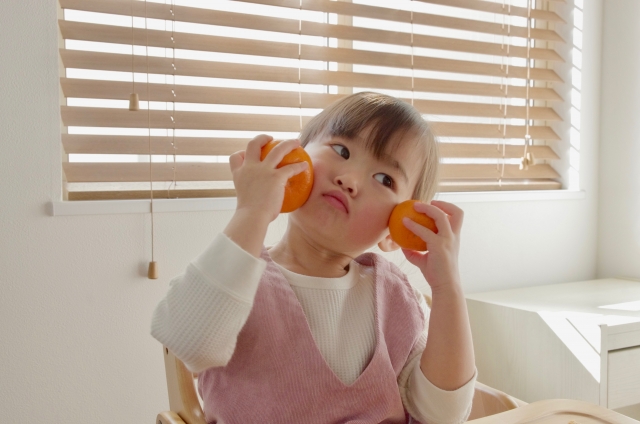 東三河で子連れランチのオススメはどこ？？